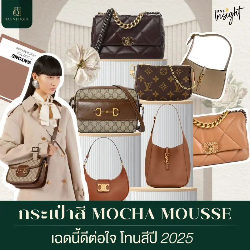 webกระเป๋าสี Mocha mousse 07